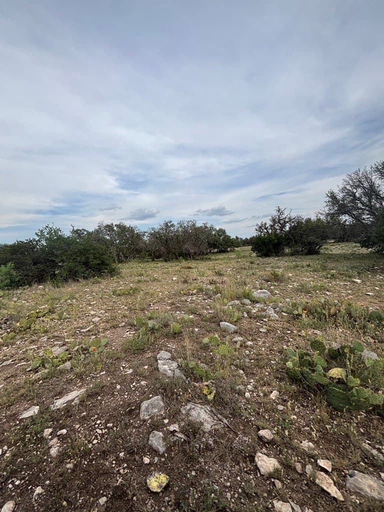 39.25 acres in Schleicher County - photo 19