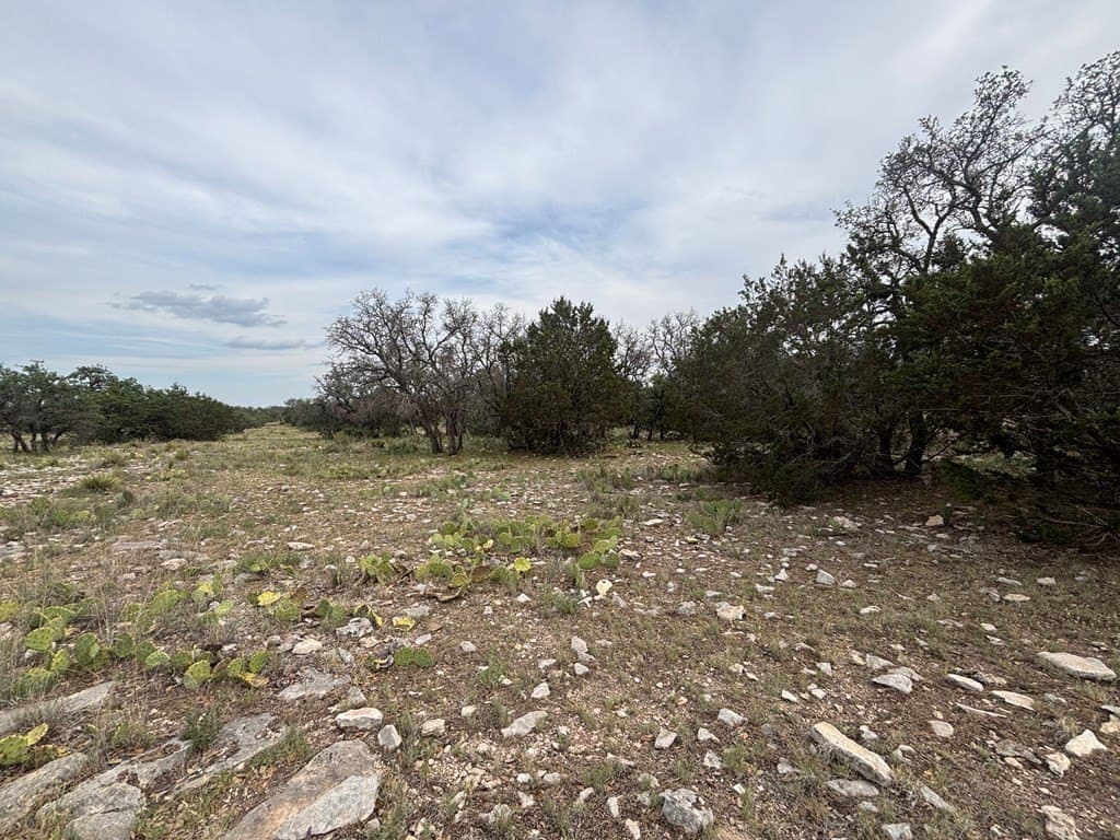 39.25 acres in Schleicher County - photo 20