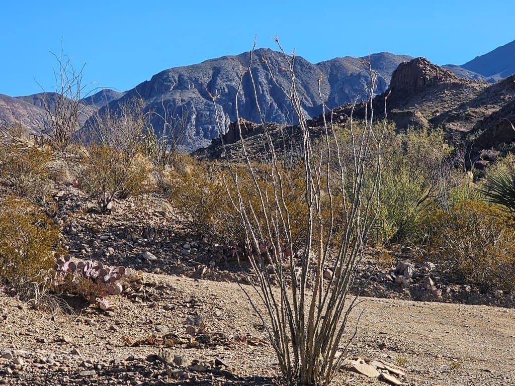 13 acres in Brewster County - photo 5