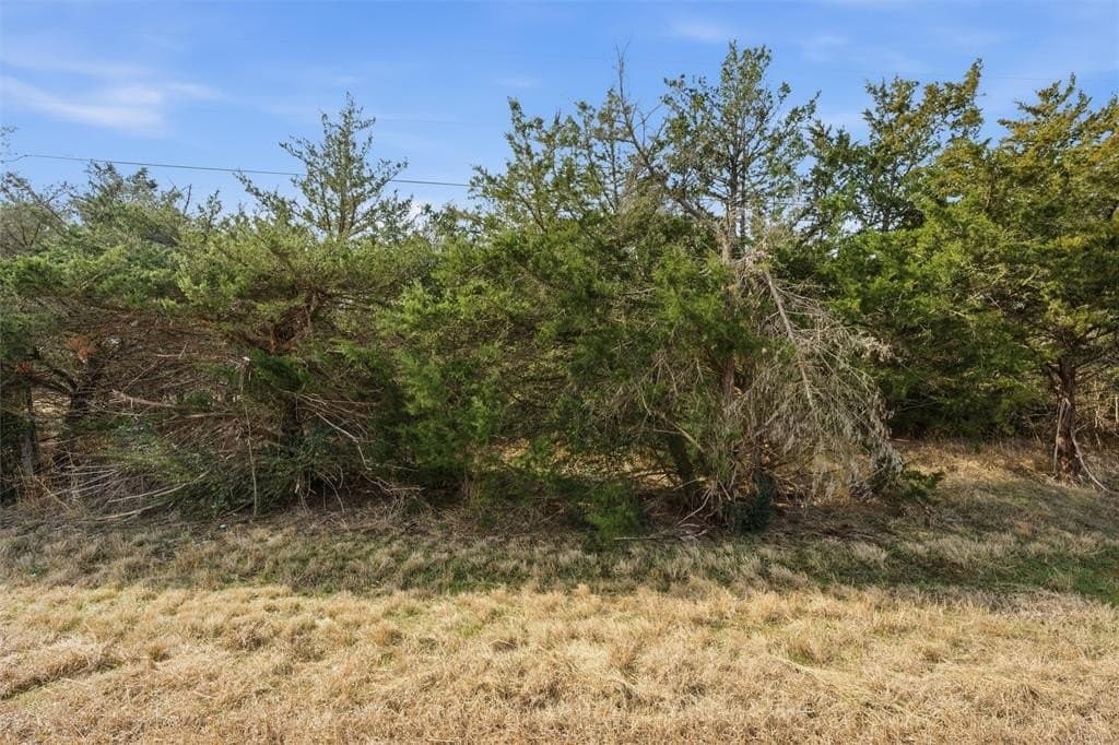 2.98 acres in Limestone County - photo 5