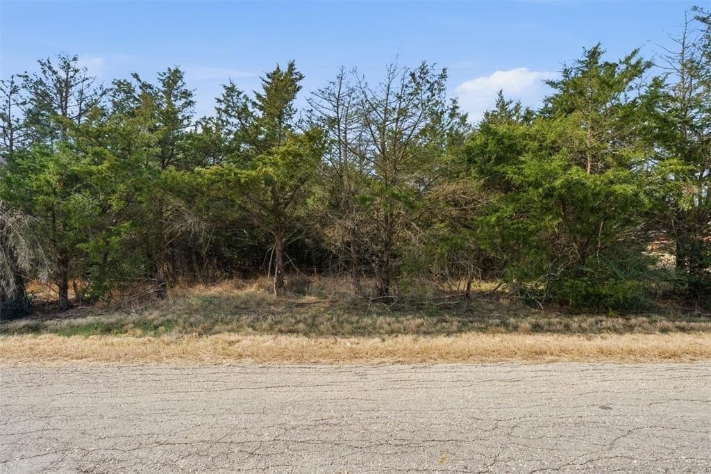 2.98 acres in Limestone County - photo 8