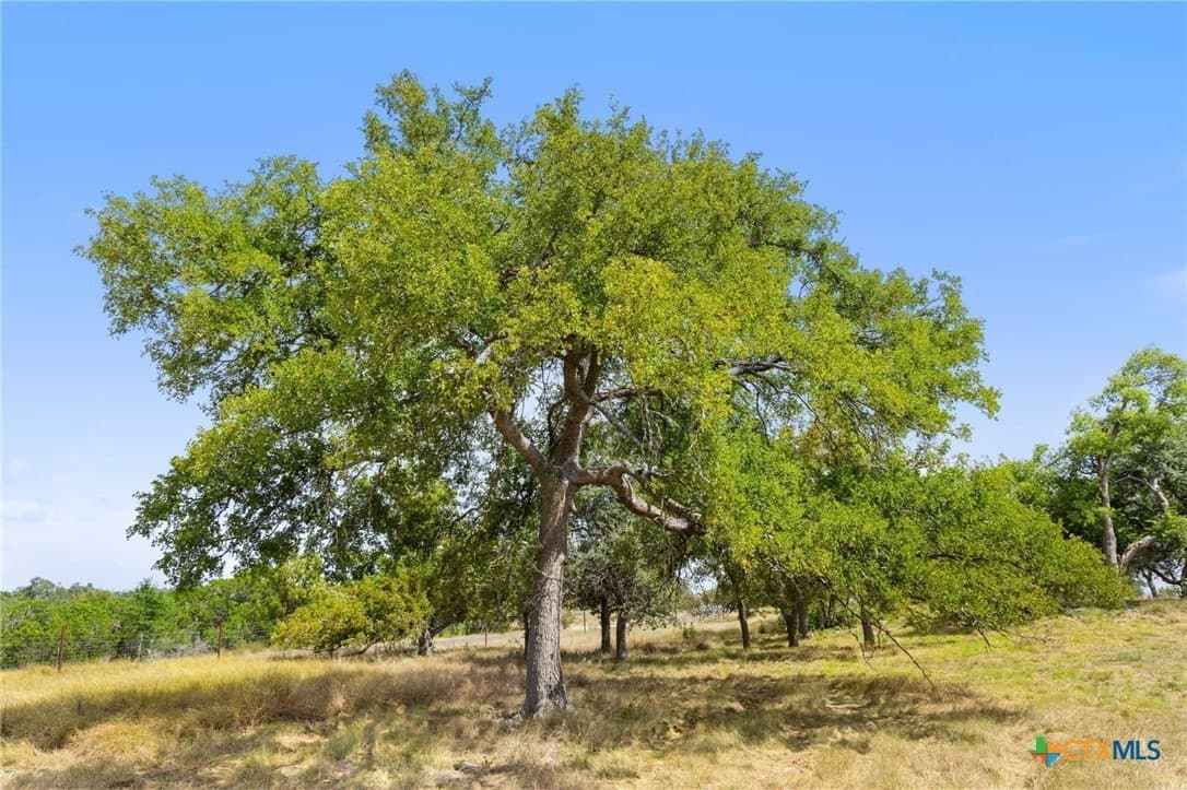 29 acres in Kendall County - photo 45