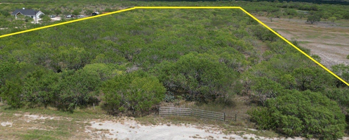 11 acres in Live Oak County - photo 2