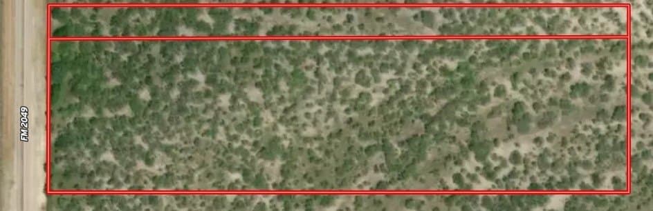 11 acres in Live Oak County - photo 4
