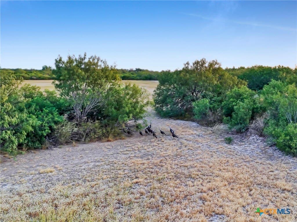 377.5 acres in Zavala County - photo 26