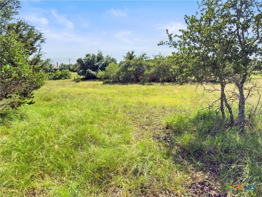 0.6 acres in Blanco County - photo 10