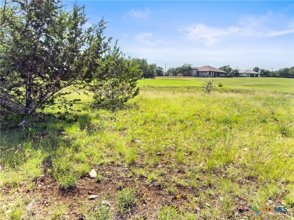 0.6 acres in Blanco County - photo 9
