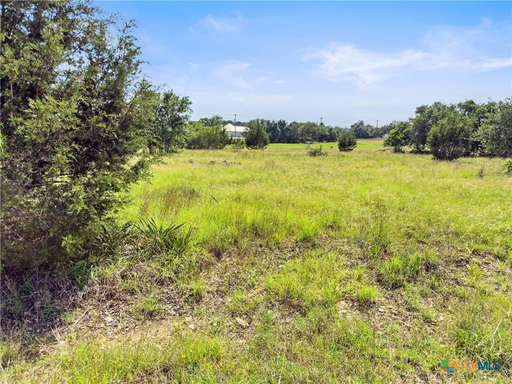 0.6 acres in Blanco County - photo 12