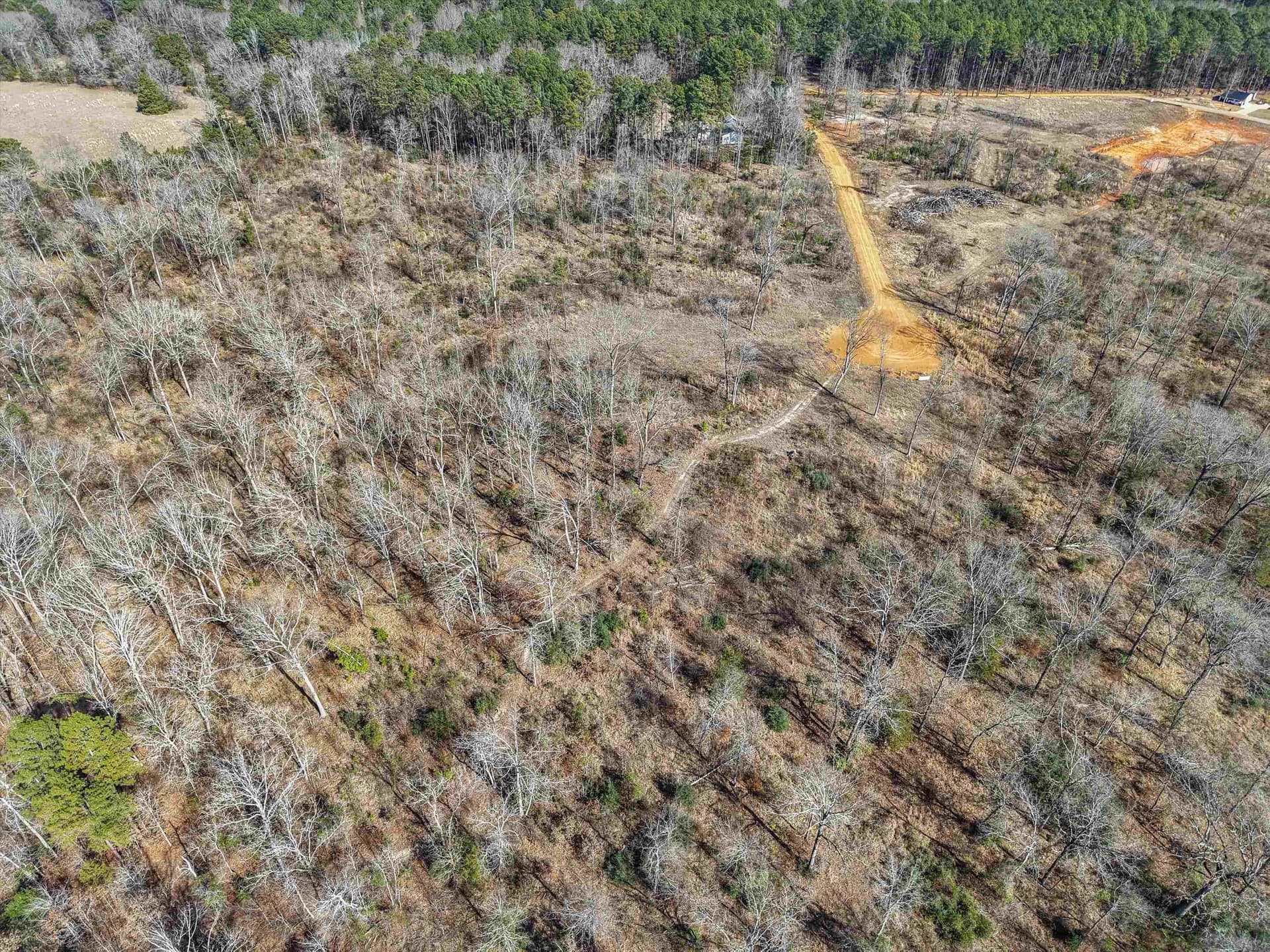 6.4 acres in Upshur County - photo 9