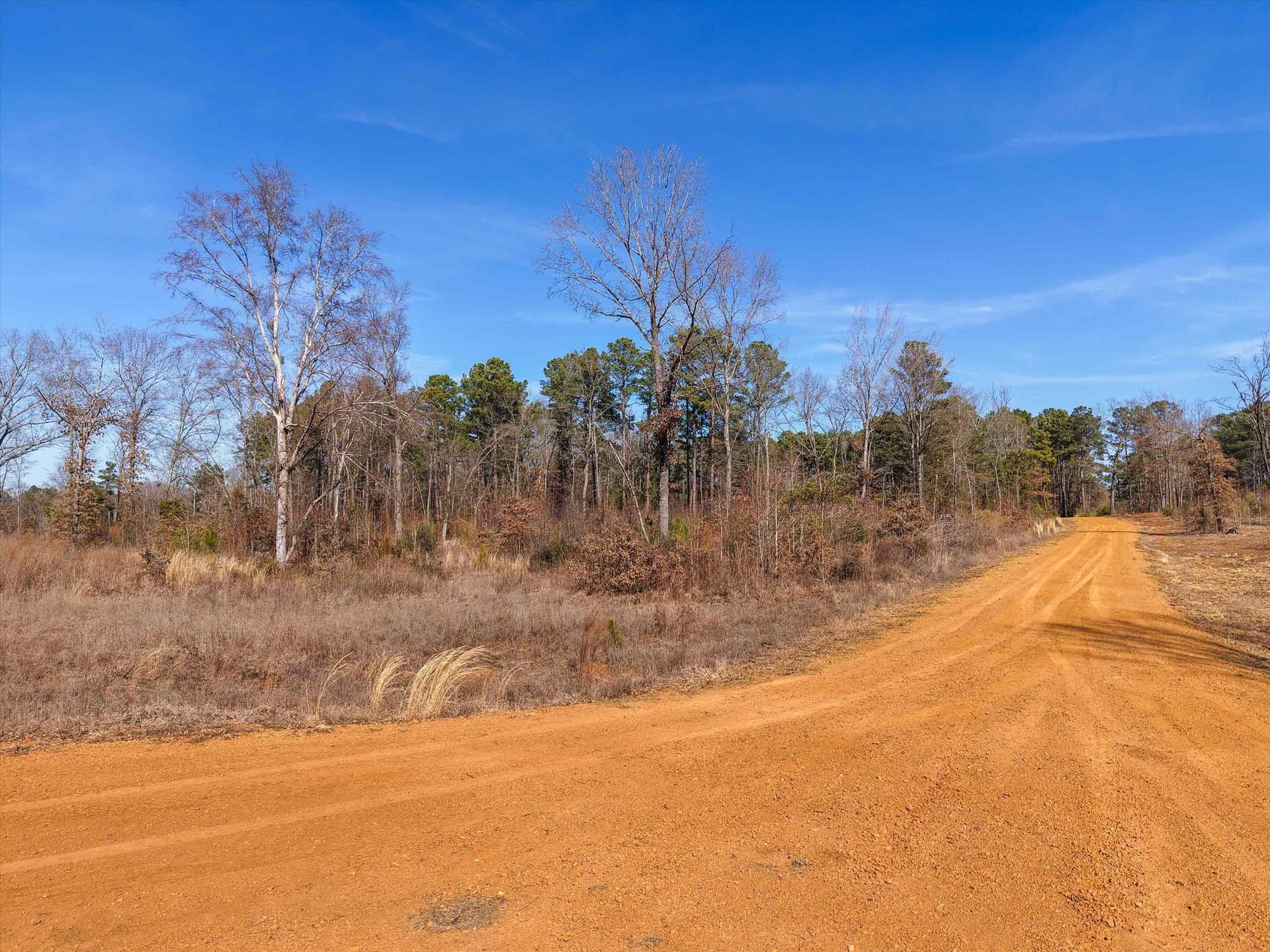 6.4 acres in Upshur County - photo 4
