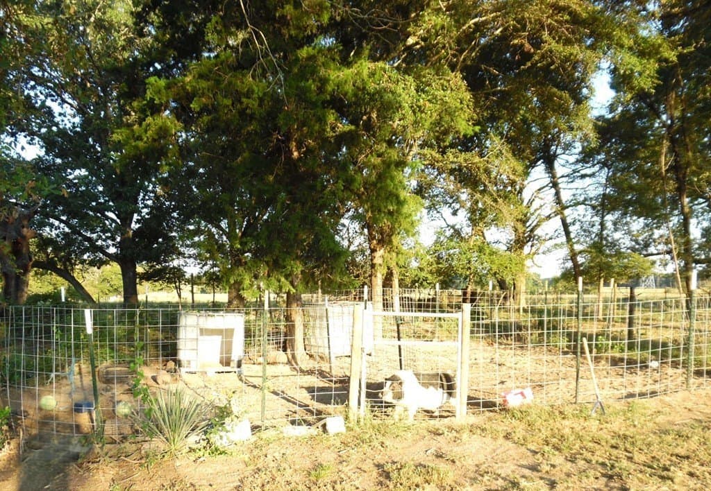 1.3 acres in Henderson County - photo 30