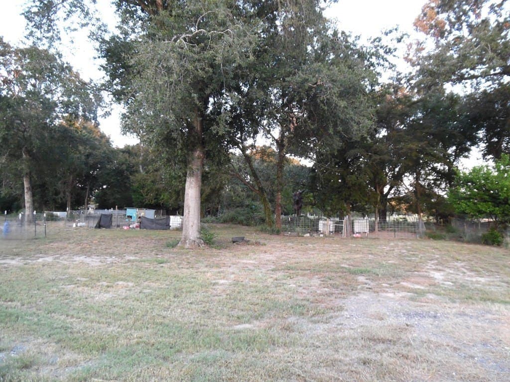 1.3 acres in Henderson County - photo 32