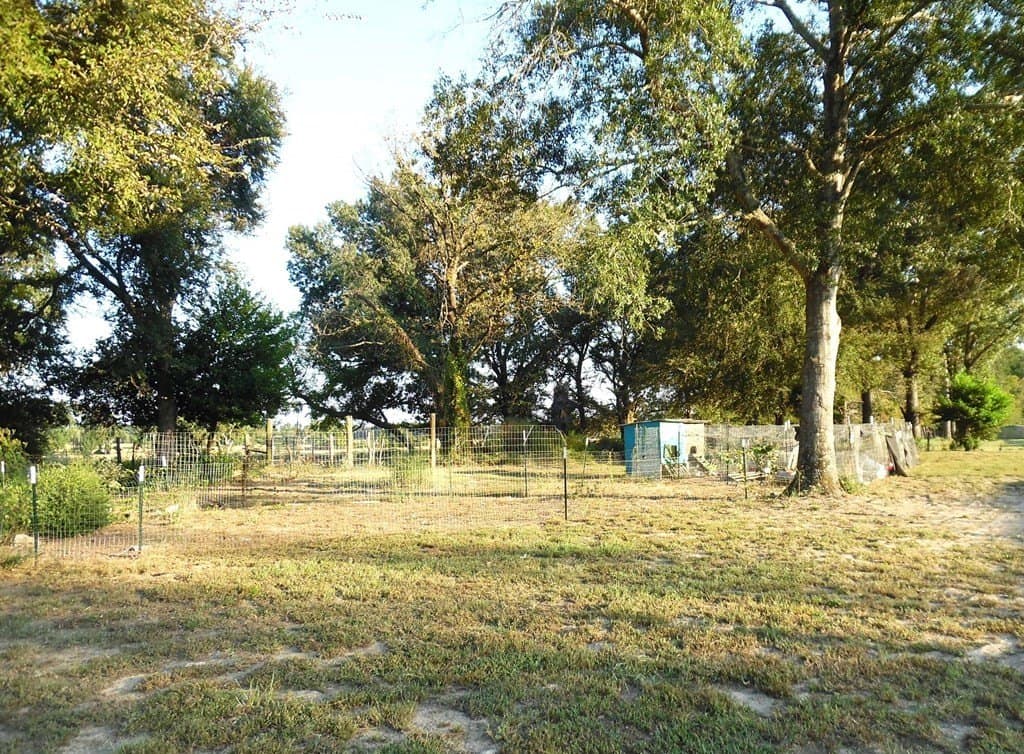 1.3 acres in Henderson County - photo 28