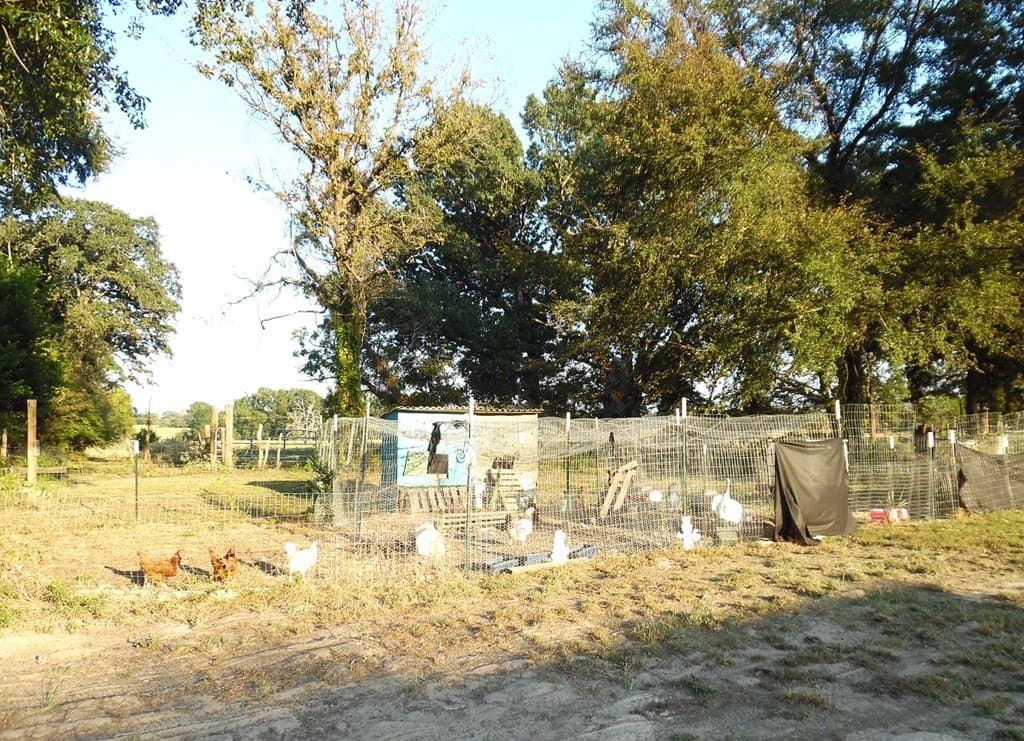 1.3 acres in Henderson County - photo 29