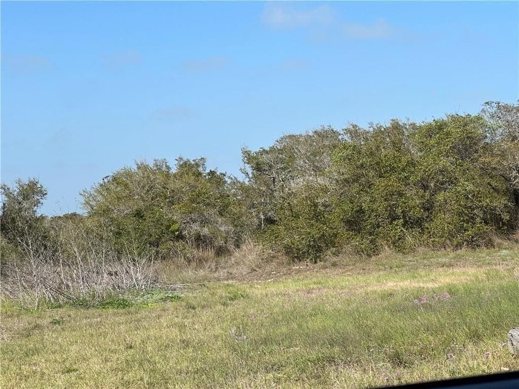 0.16 acres in San Patricio County - photo 2