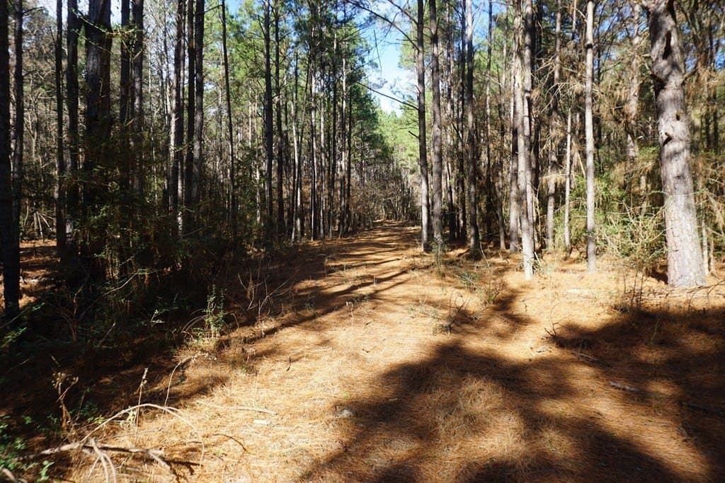 178.67 acres in ANDERSON County - photo 22