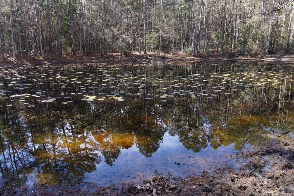 178.67 acres in ANDERSON County - photo 20