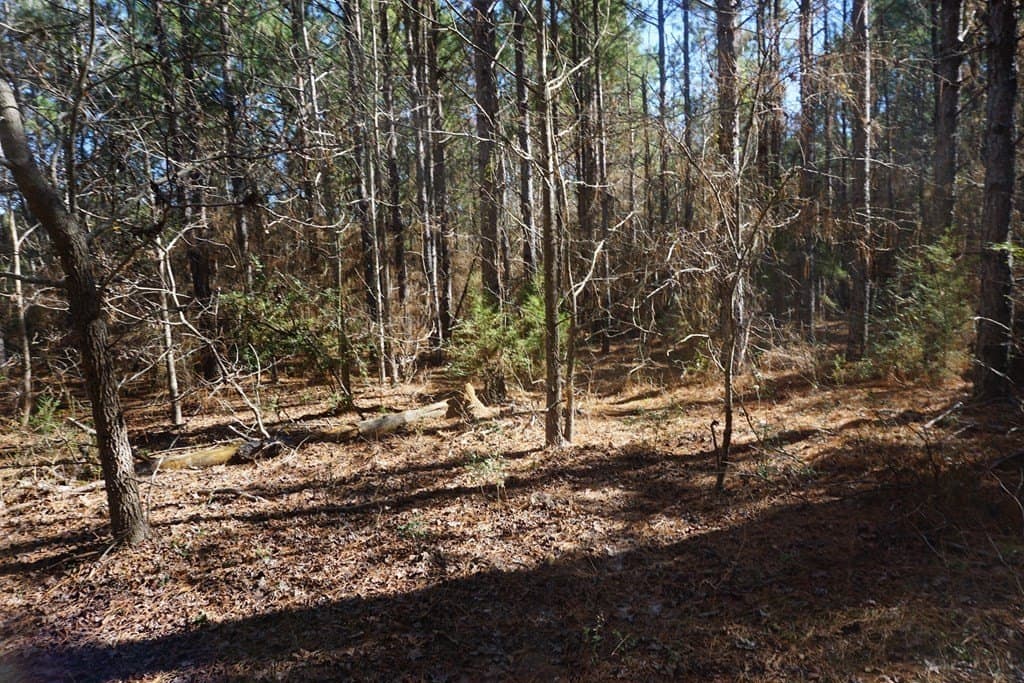 178.67 acres in ANDERSON County - photo 11