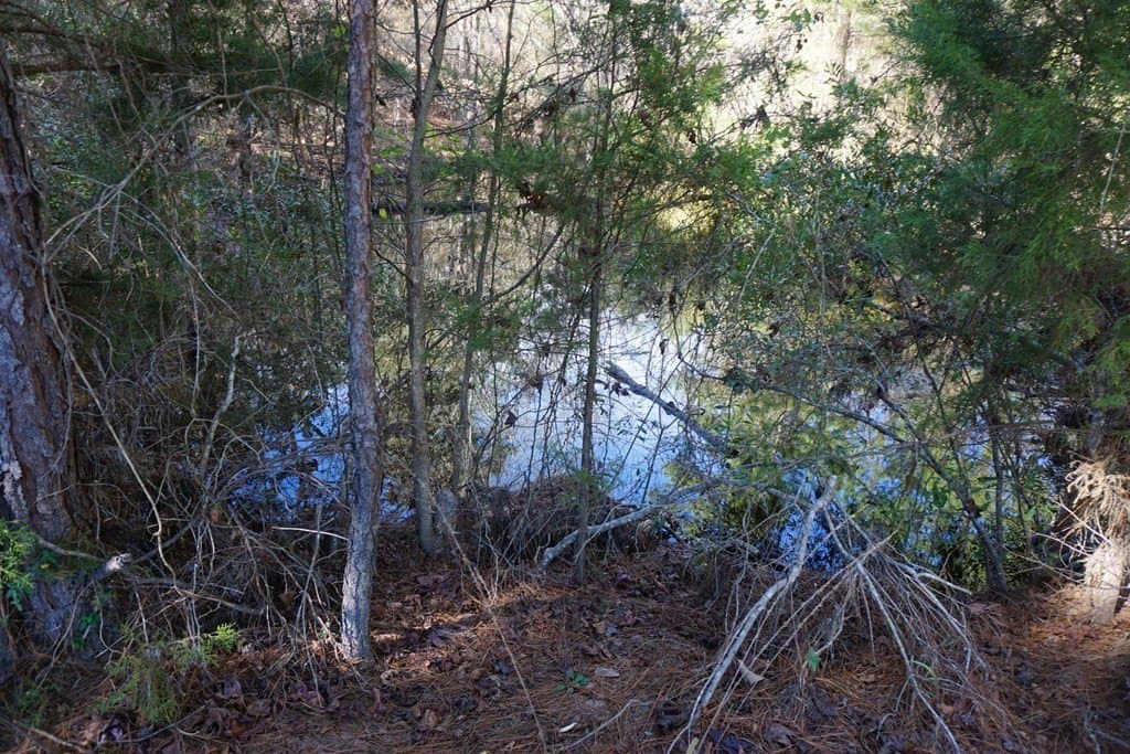 178.67 acres in ANDERSON County - photo 24
