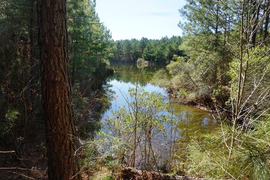 178.67 acres in ANDERSON County - photo 9