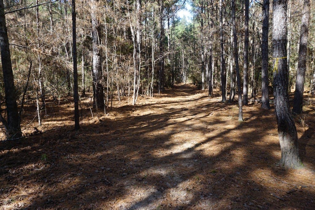 178.67 acres in ANDERSON County - photo 23