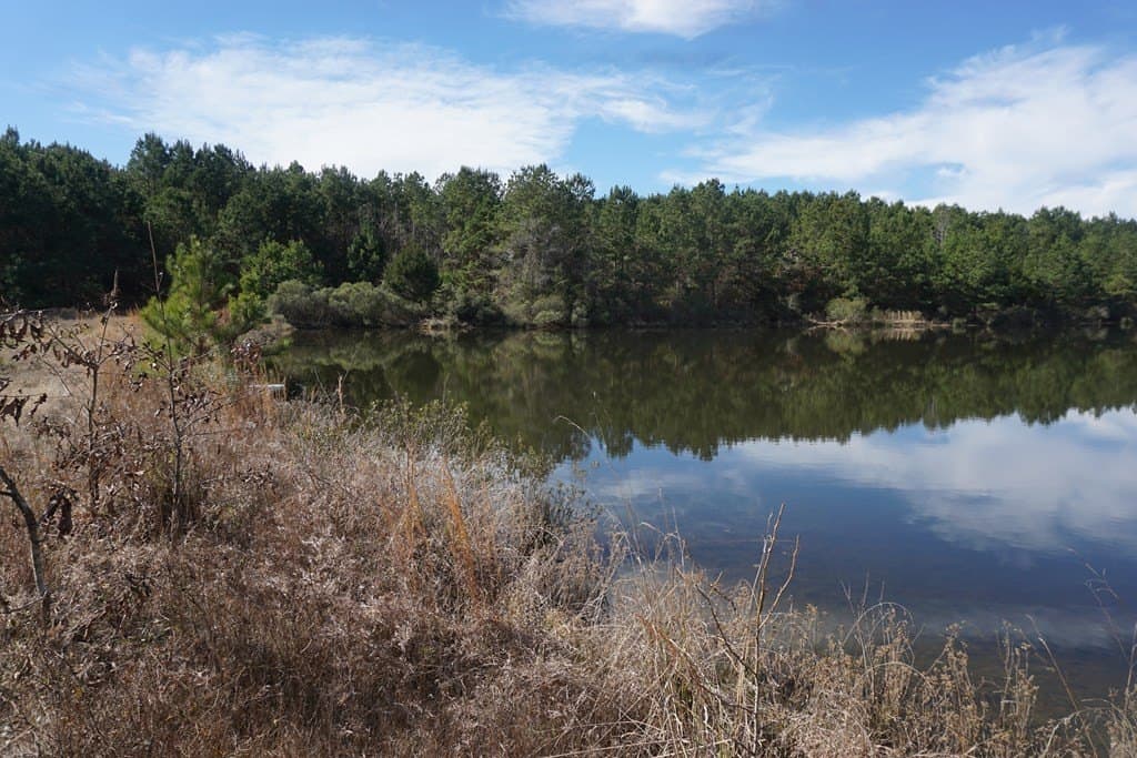 178.67 acres in ANDERSON County - photo 6