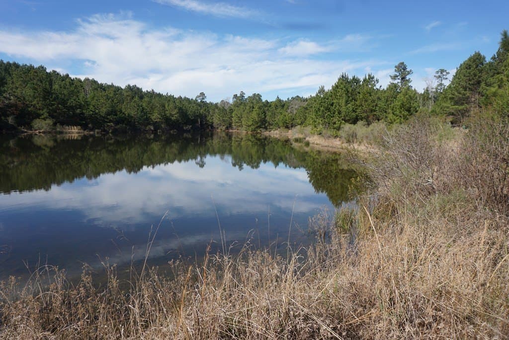 178.67 acres in ANDERSON County - photo 5