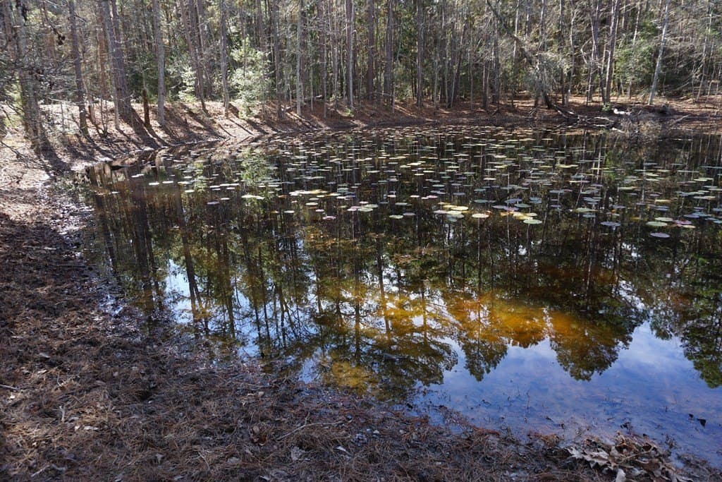 178.67 acres in ANDERSON County - photo 18