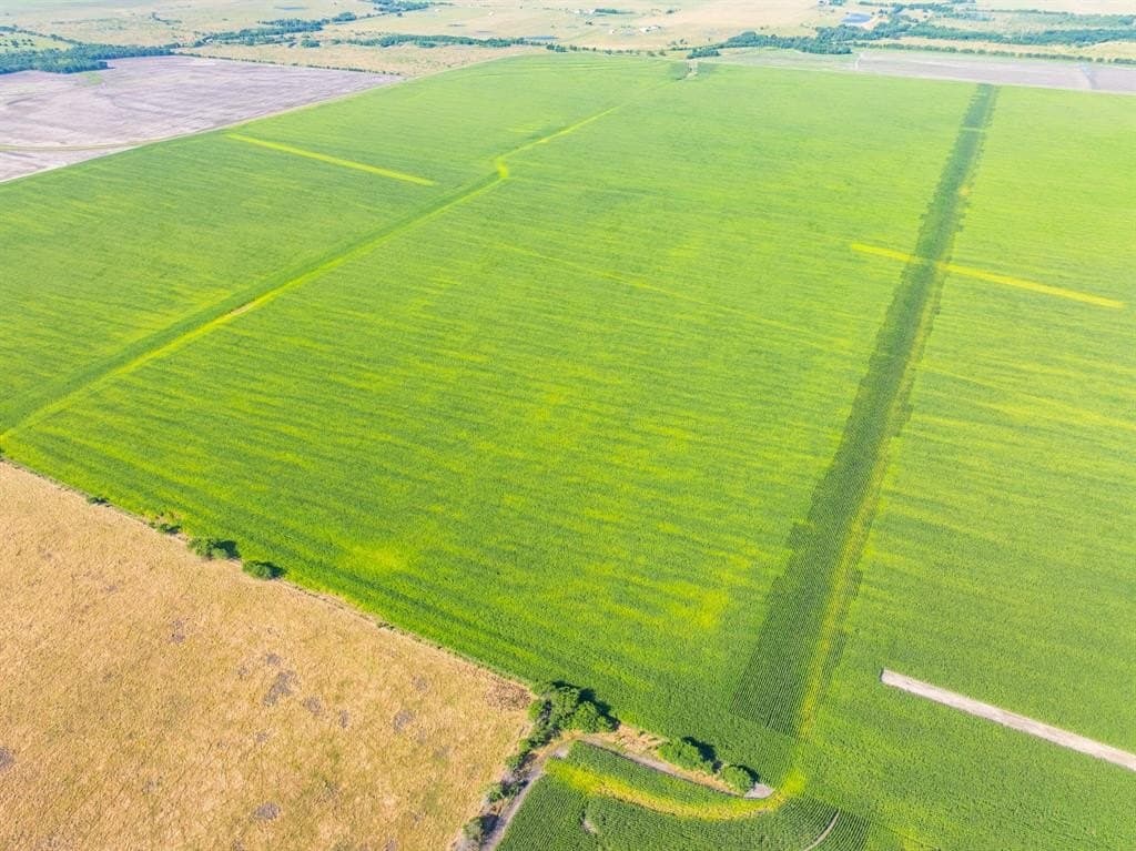 368.3 acres in Limestone County - photo 34