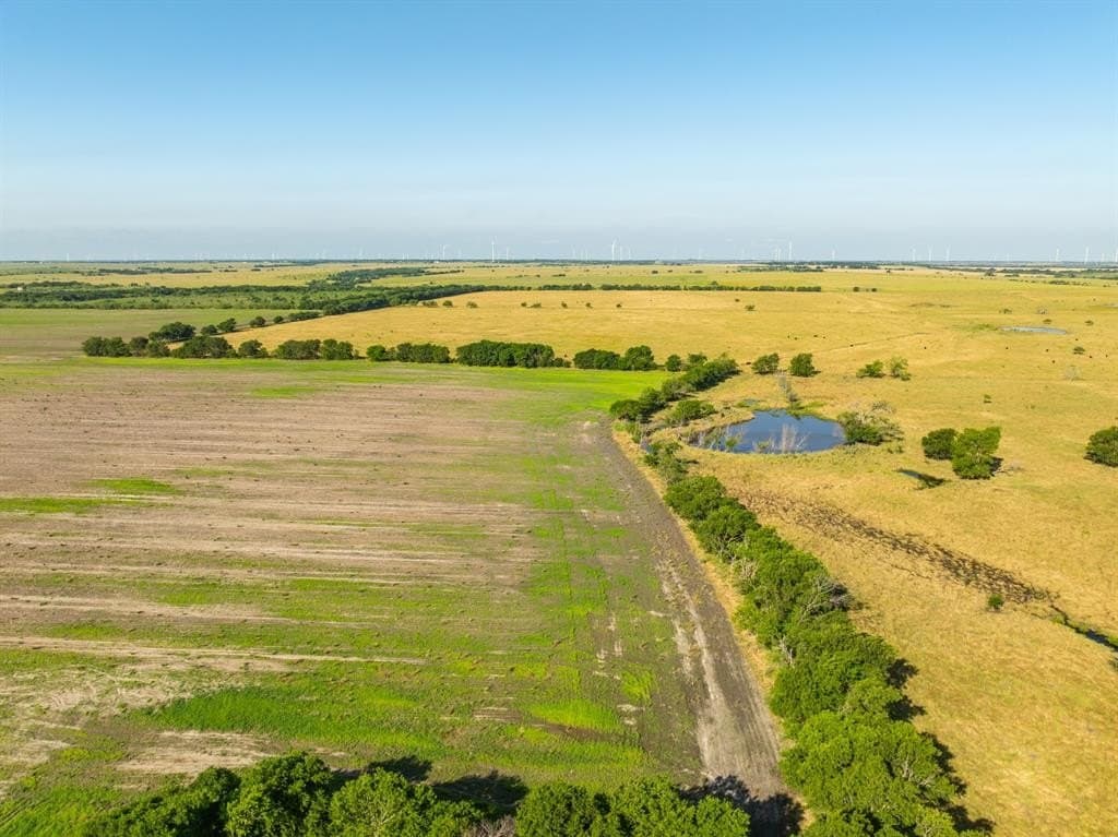 368.3 acres in Limestone County - photo 21