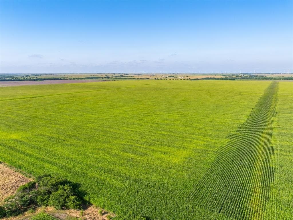 368.3 acres in Limestone County - photo 35