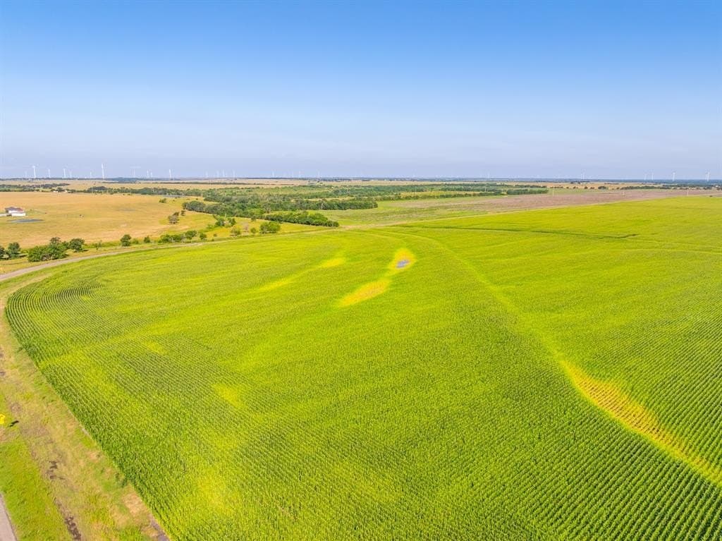 368.3 acres in Limestone County - photo 31