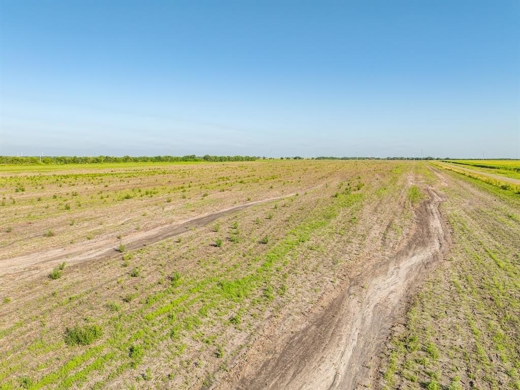 368.3 acres in Limestone County - photo 14