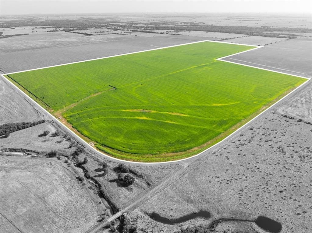 368.3 acres in Limestone County - photo 23
