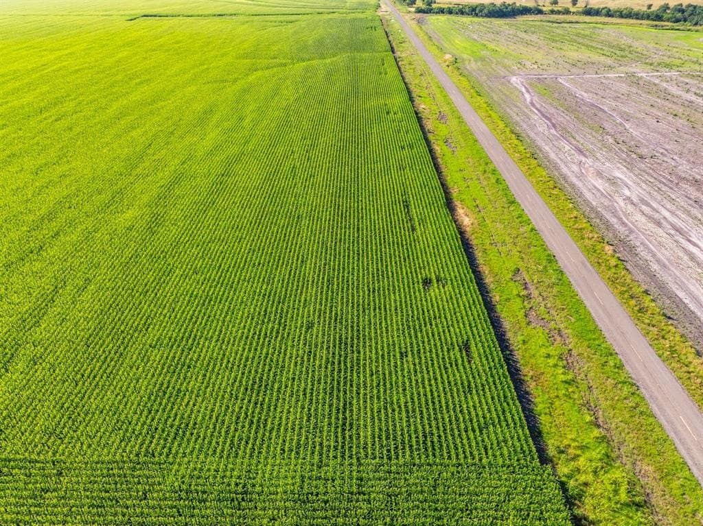 368.3 acres in Limestone County - photo 28