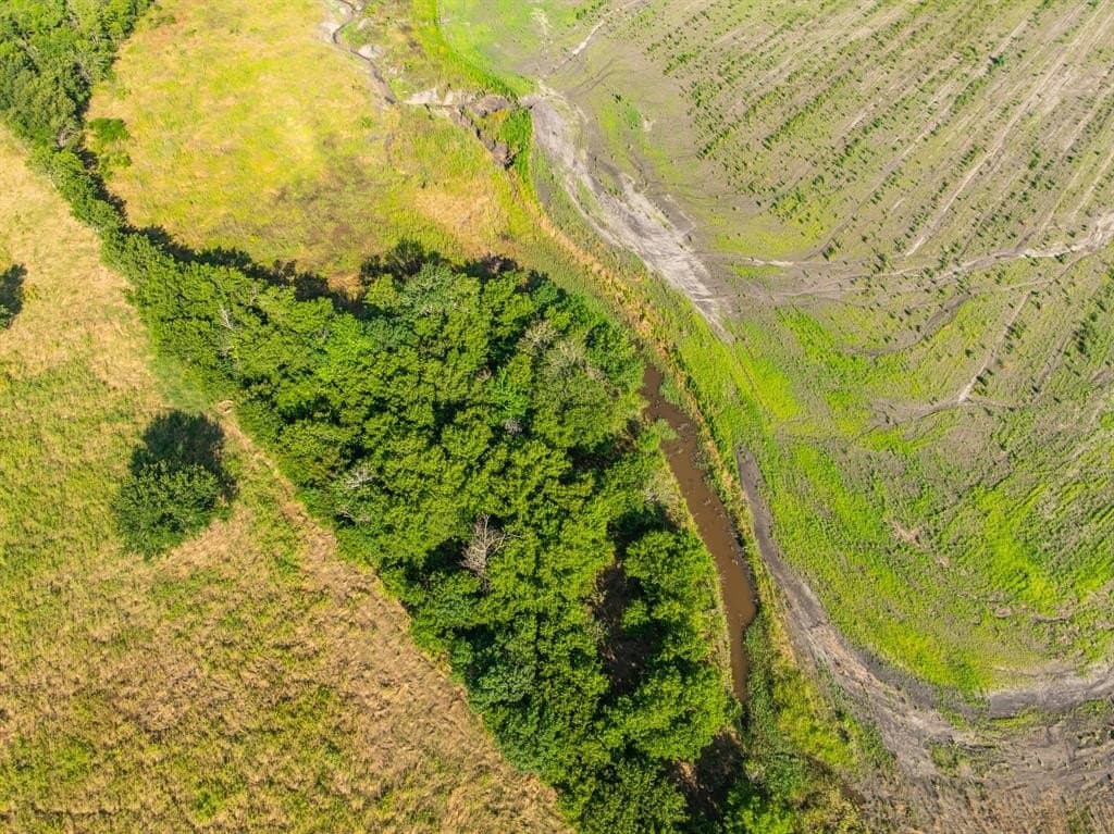 368.3 acres in Limestone County - photo 3