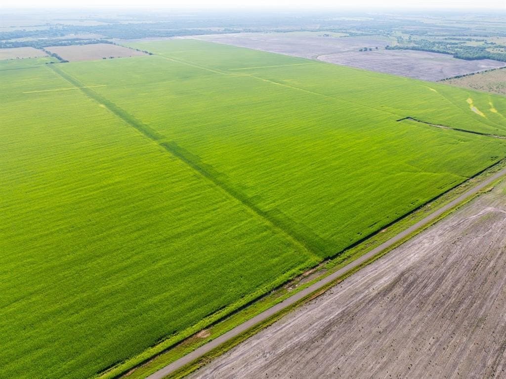 368.3 acres in Limestone County - photo 27