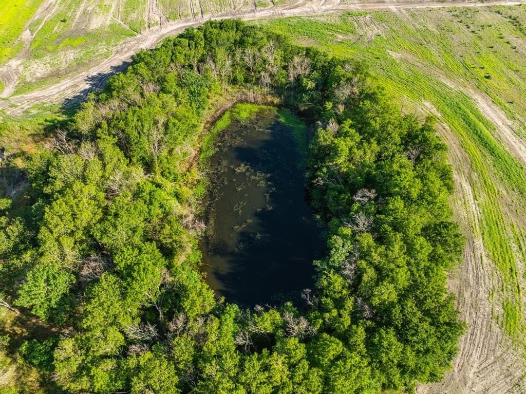 368.3 acres in Limestone County - photo 10