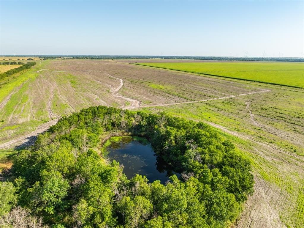 368.3 acres in Limestone County - photo 11