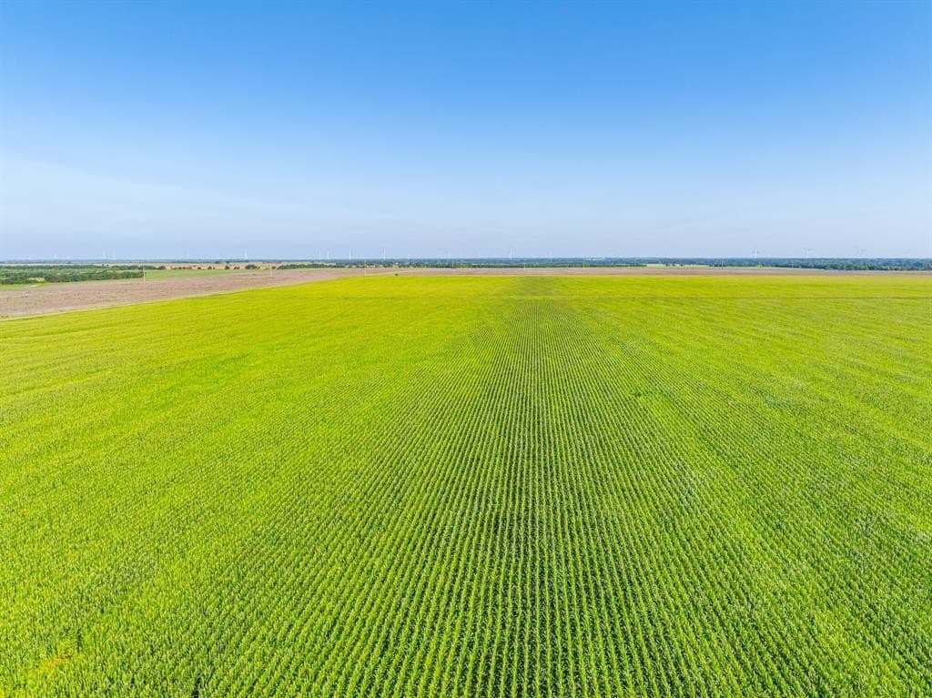368.3 acres in Limestone County - photo 33