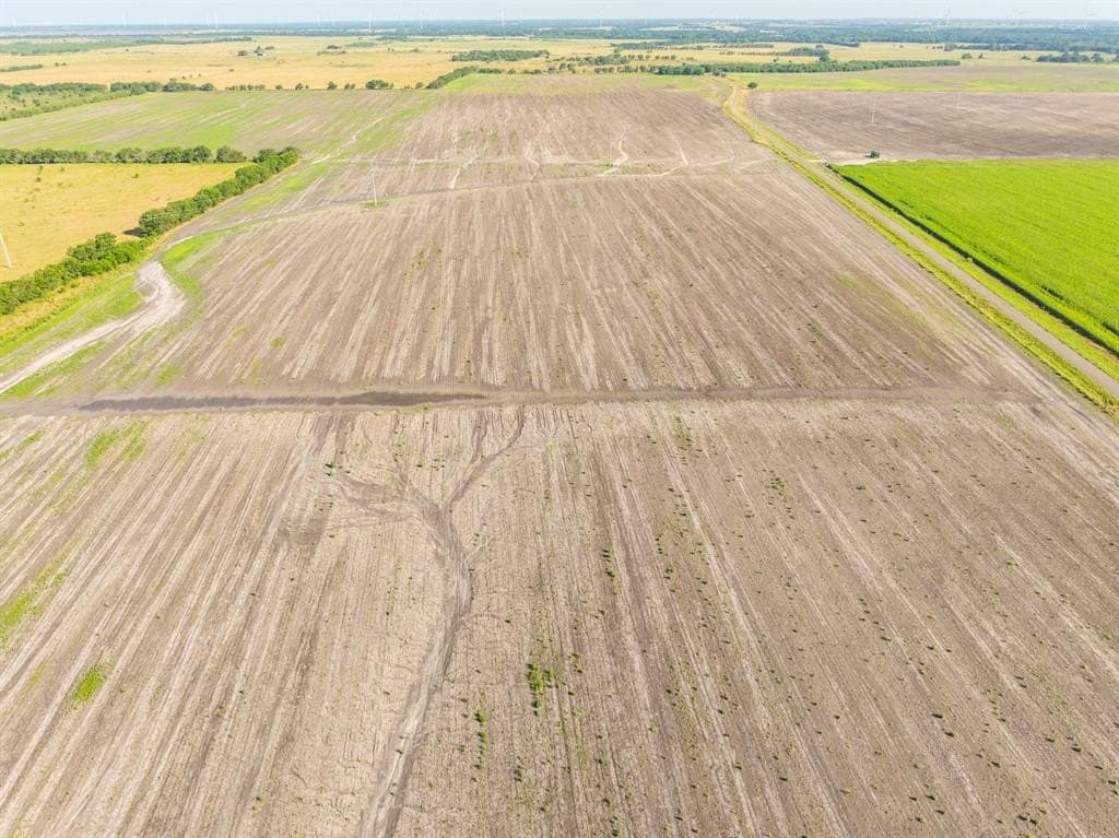 368.3 acres in Limestone County - photo 16