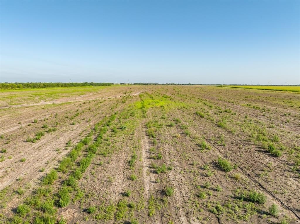 368.3 acres in Limestone County - photo 13