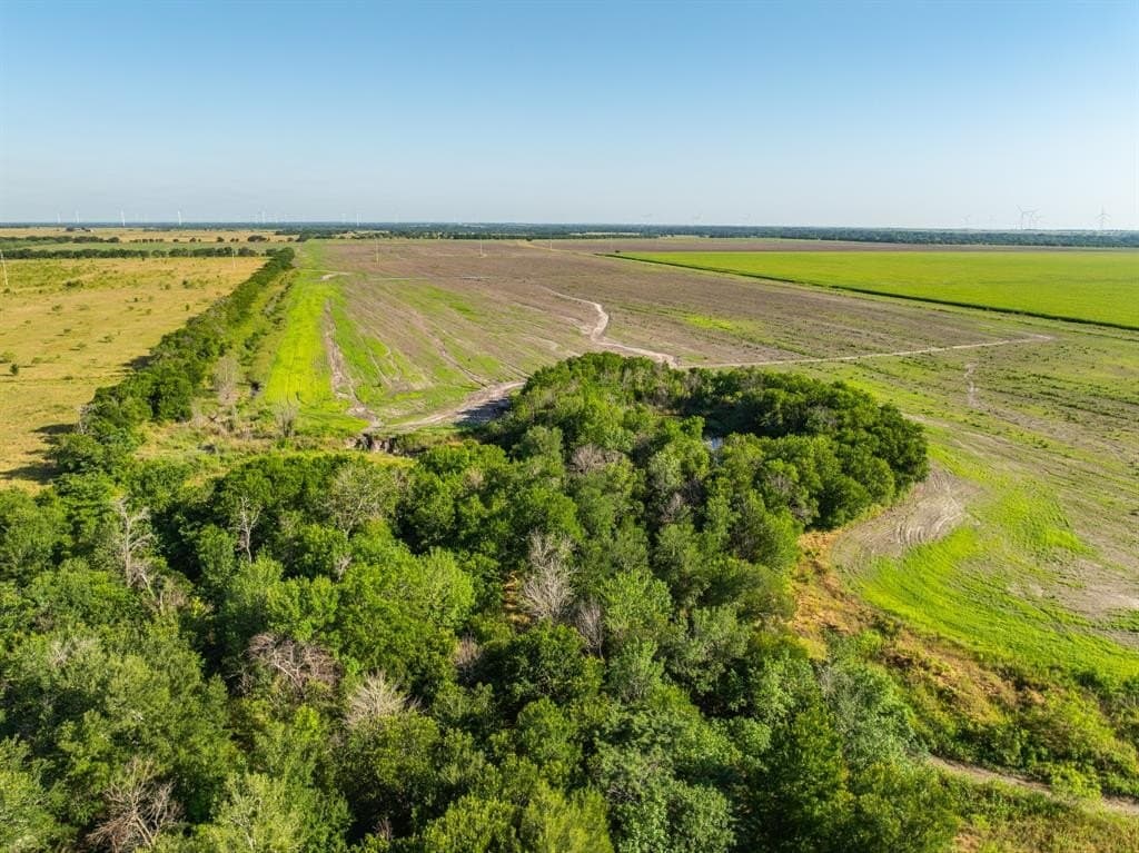 368.3 acres in Limestone County - photo 8
