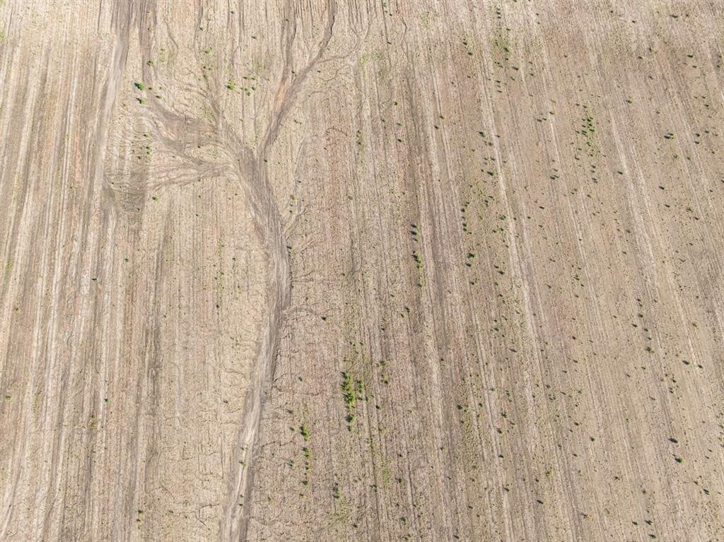 368.3 acres in Limestone County - photo 17