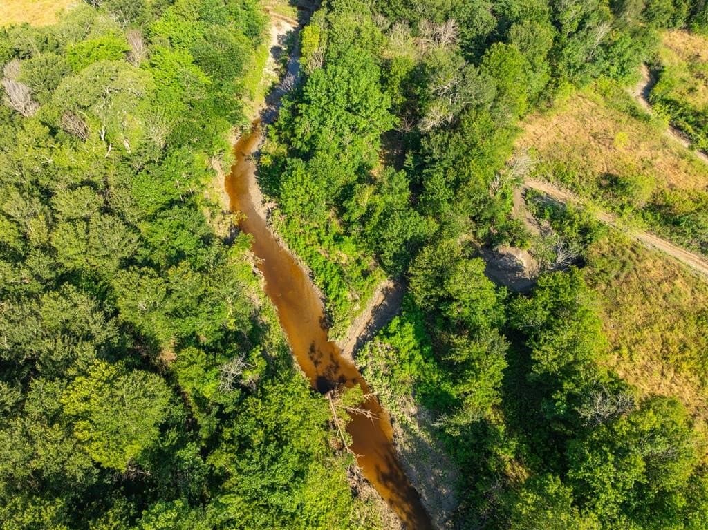 368.3 acres in Limestone County - photo 7