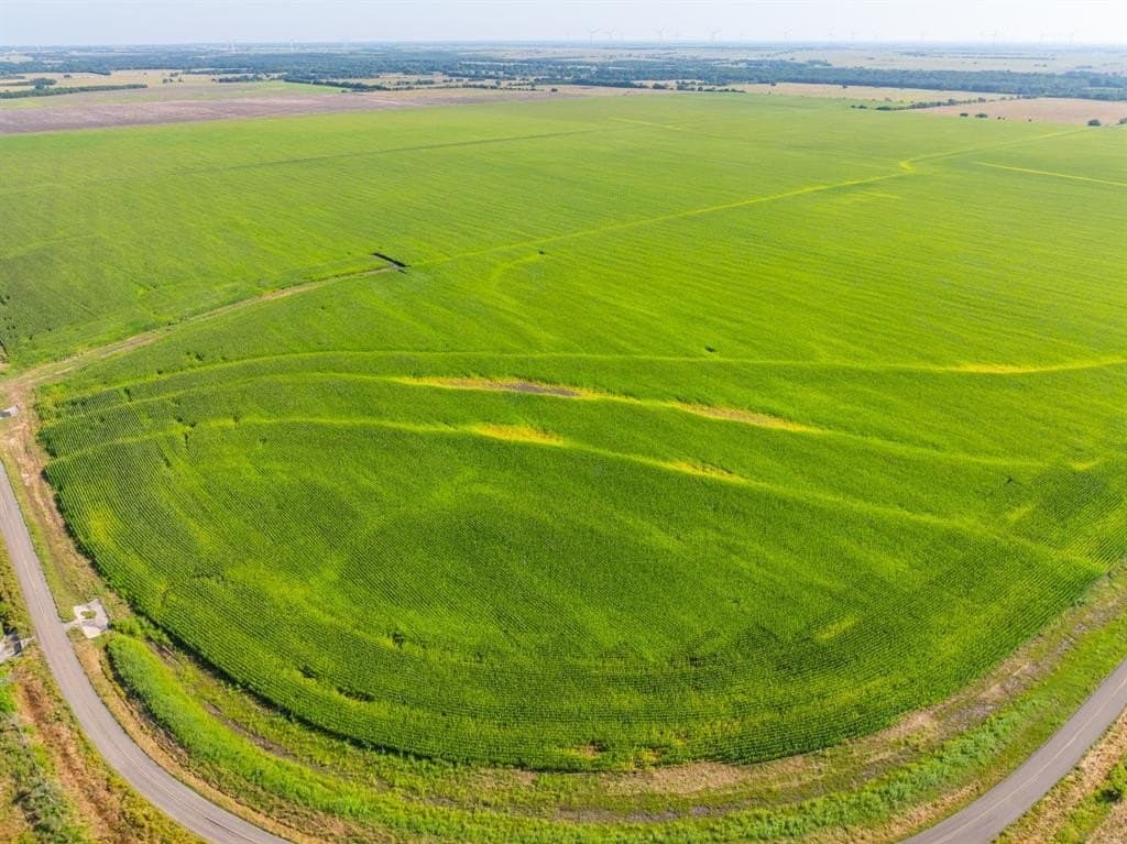 368.3 acres in Limestone County - photo 25