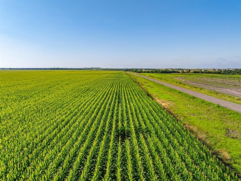 368.3 acres in Limestone County - photo 29