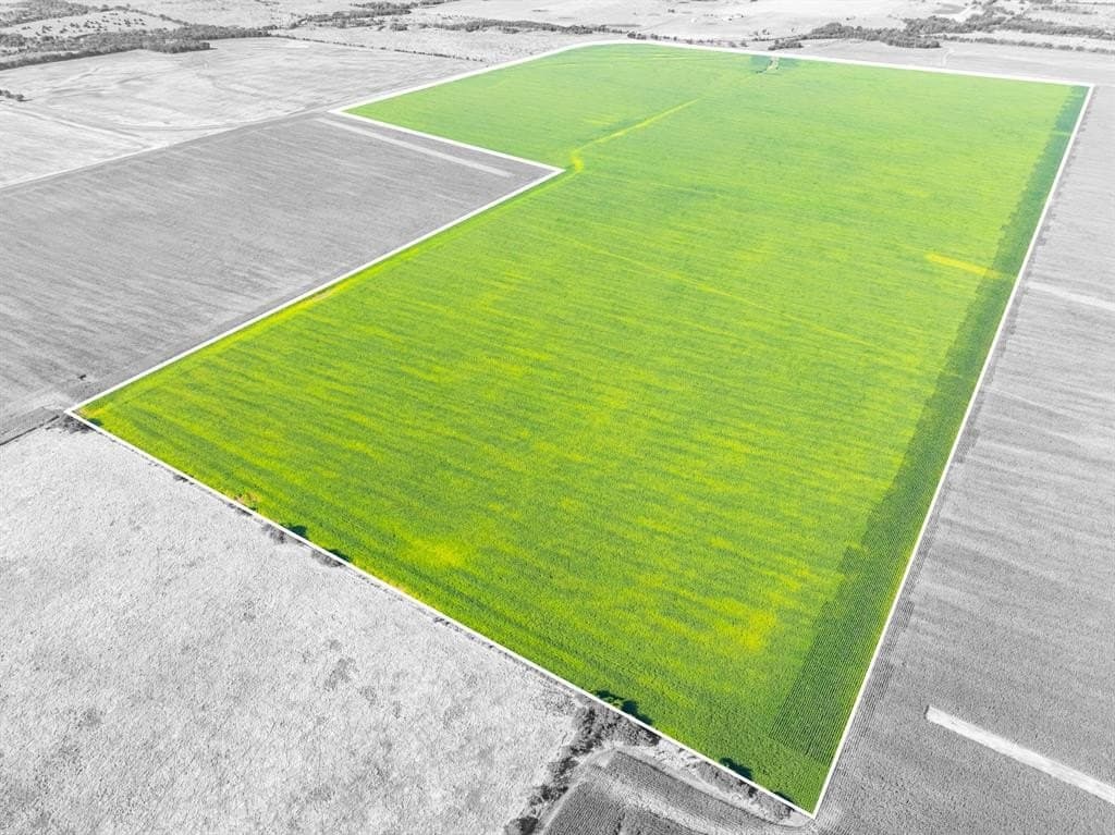 368.3 acres in Limestone County - photo 24