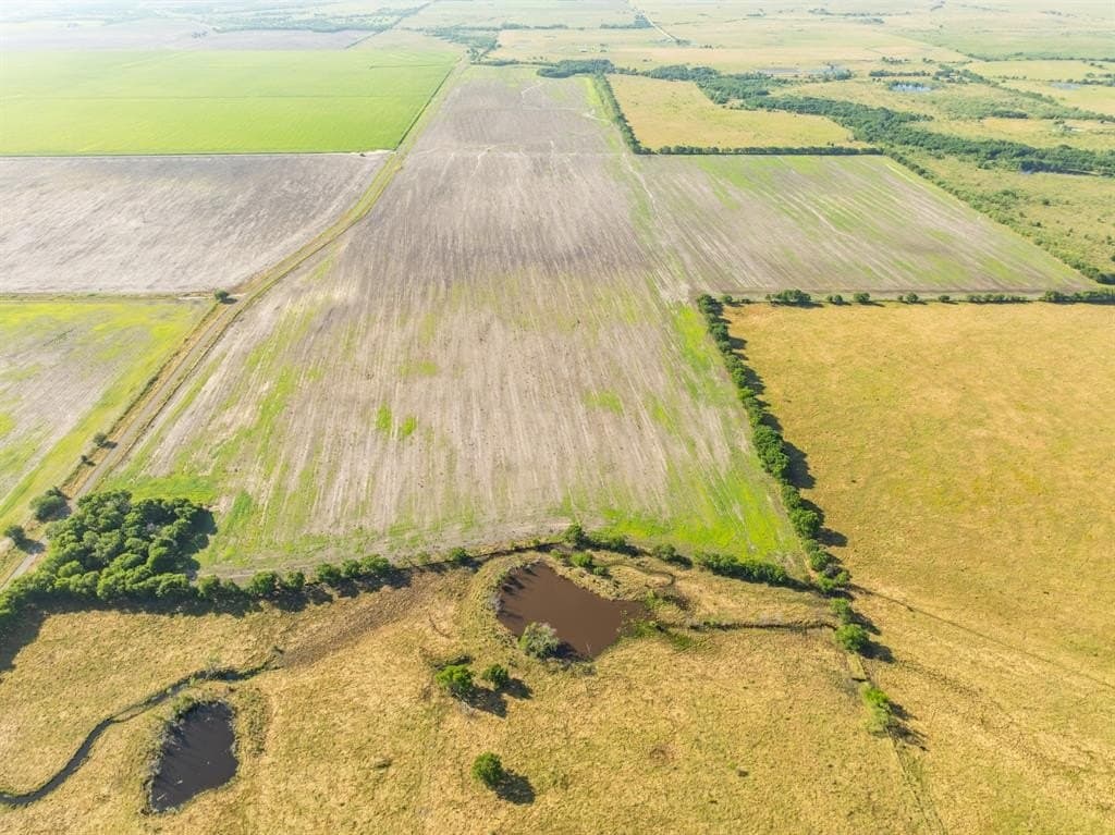 368.3 acres in Limestone County - photo 20