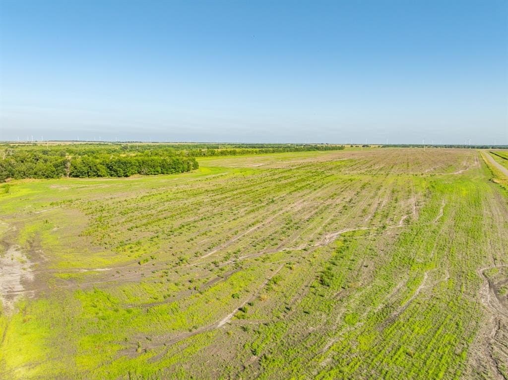 368.3 acres in Limestone County - photo 4